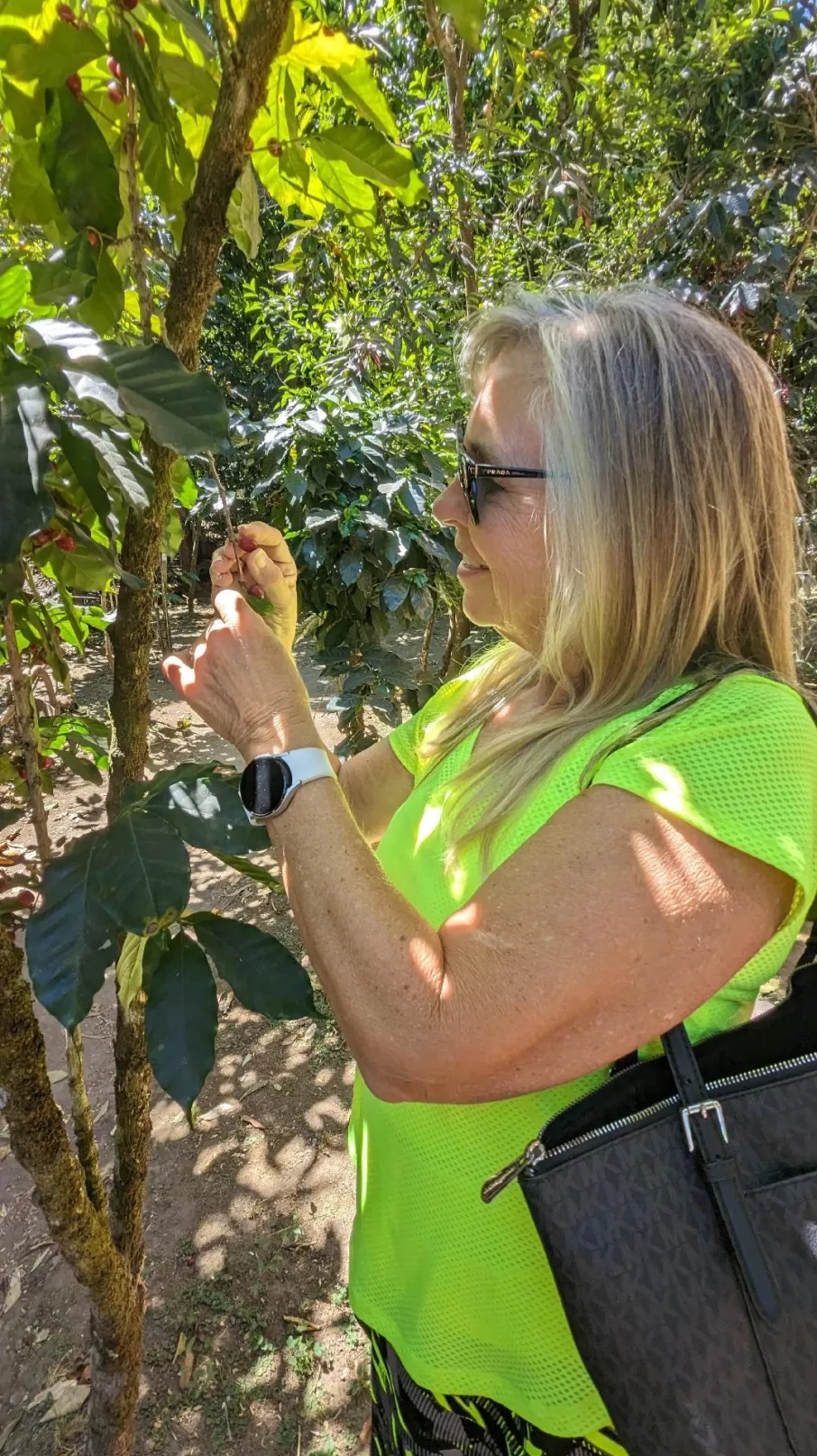 Bev picking coffee beans