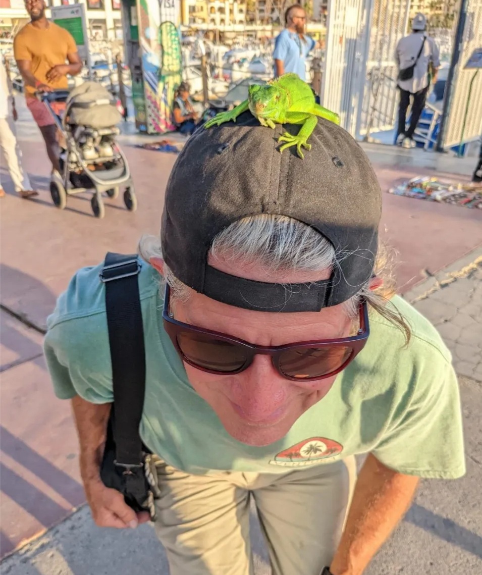 Kevin & a baby iguana