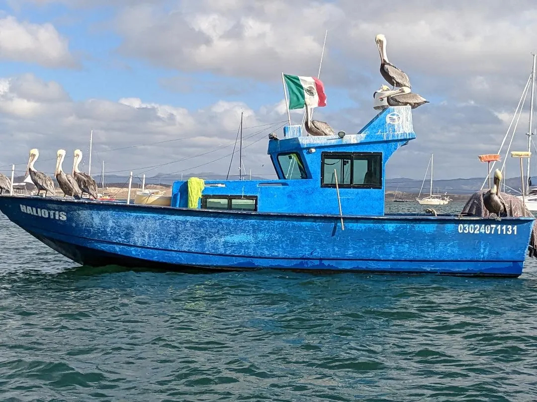 Panga in Turtle Bay