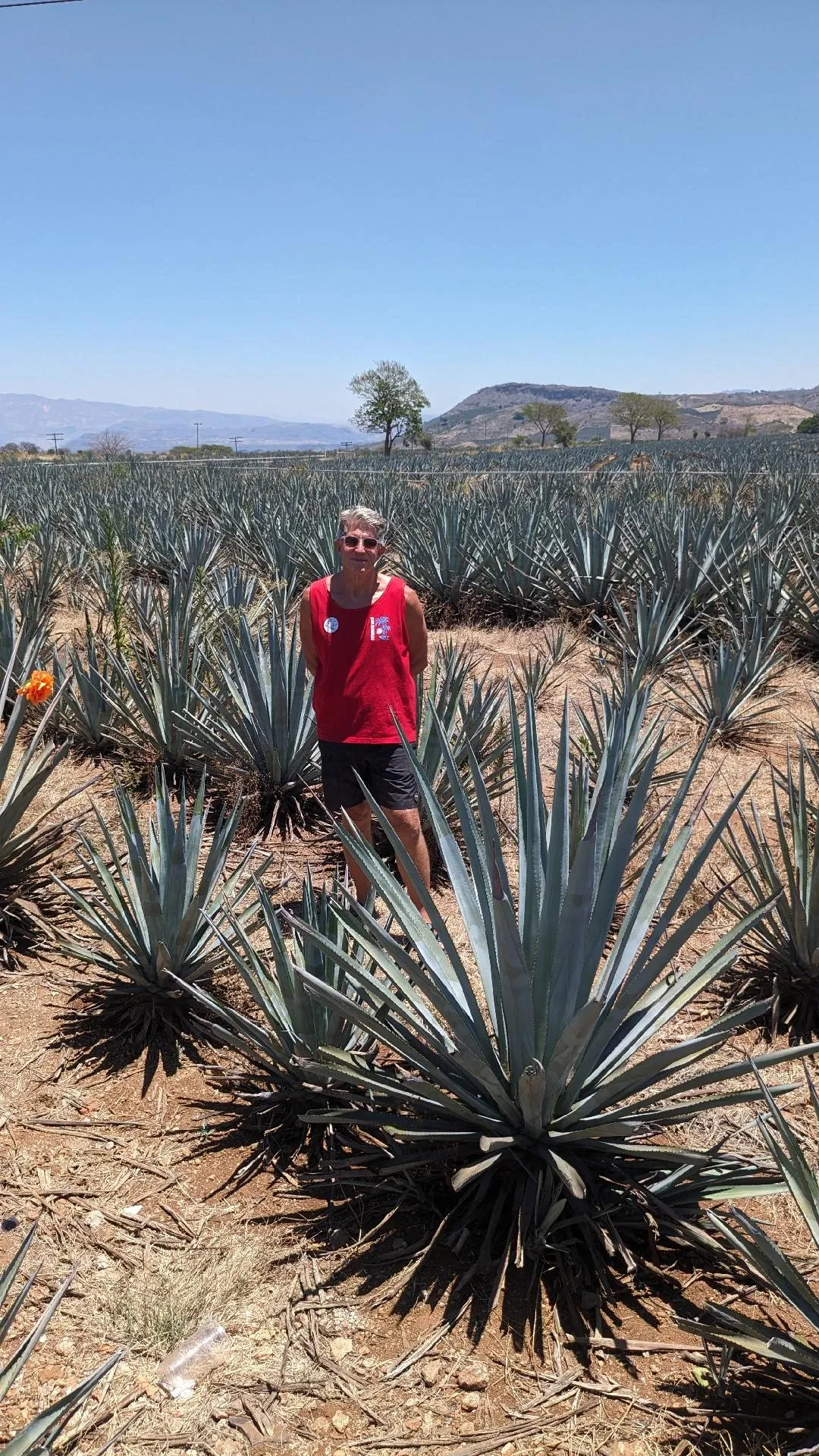 Kevin in an agave field on the trip to Guadalajara