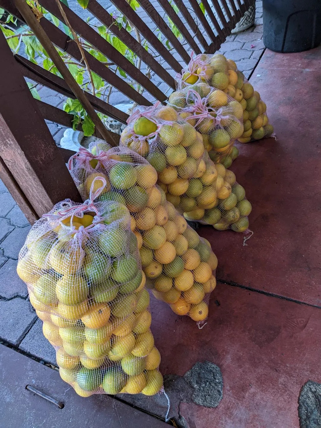Limes served with everything