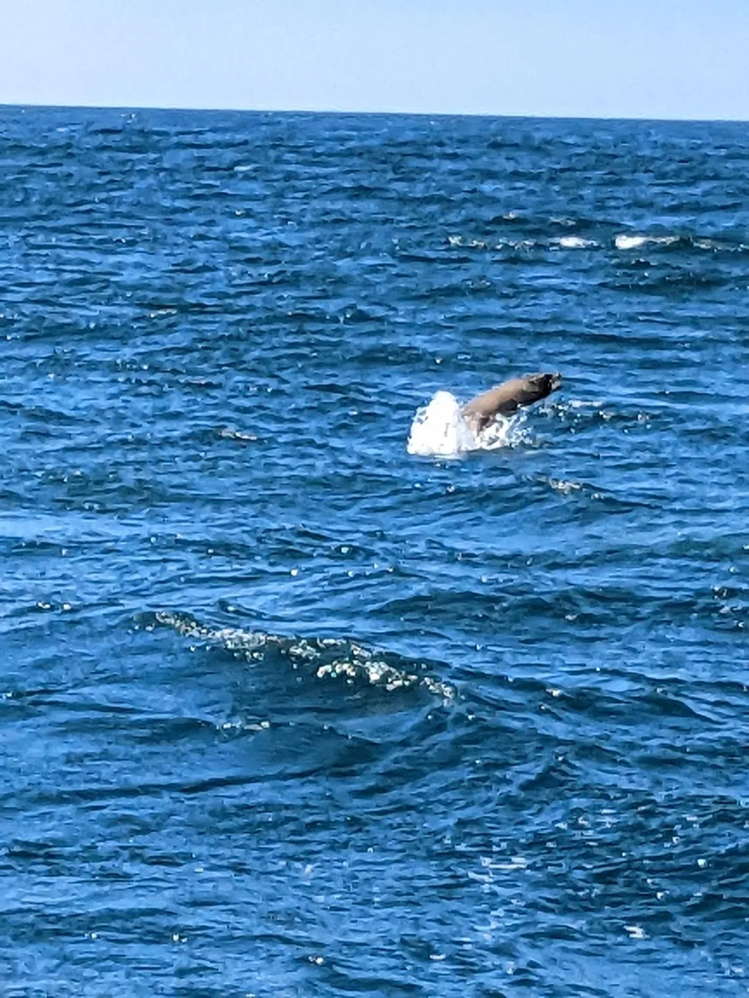 Pacific Ocean