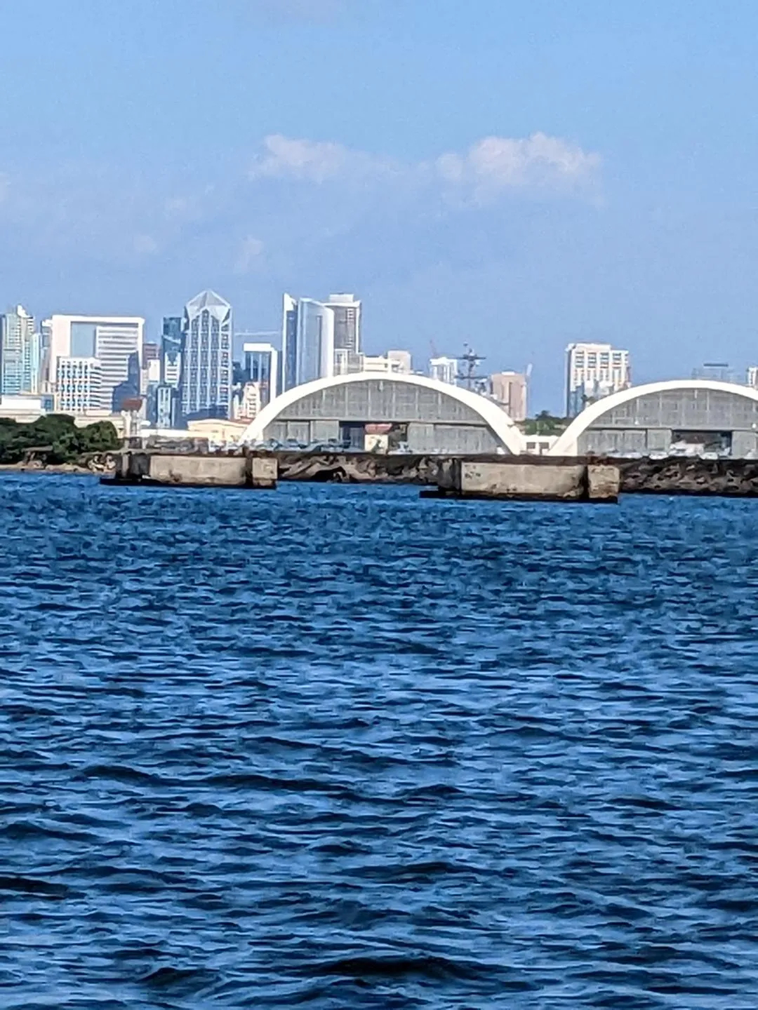 San Diego skyline from the water