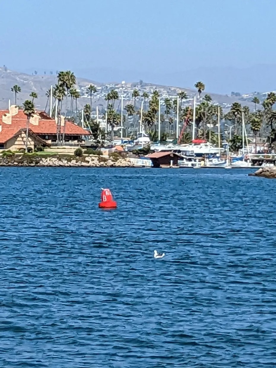 Ventura Harbor