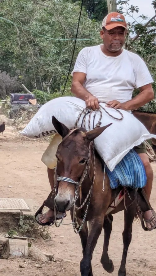 There are no roads or cars in Yelapa