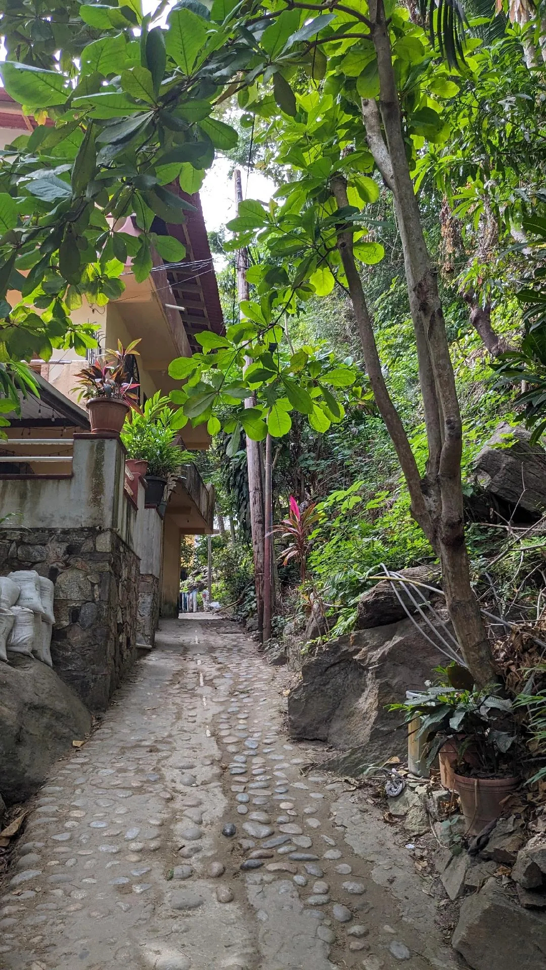 Walkway through the village in Yelapa