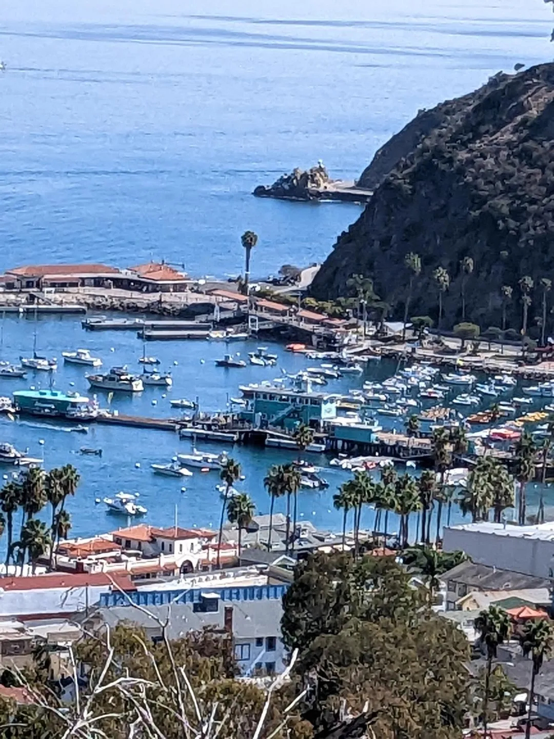 Avalon Harbor