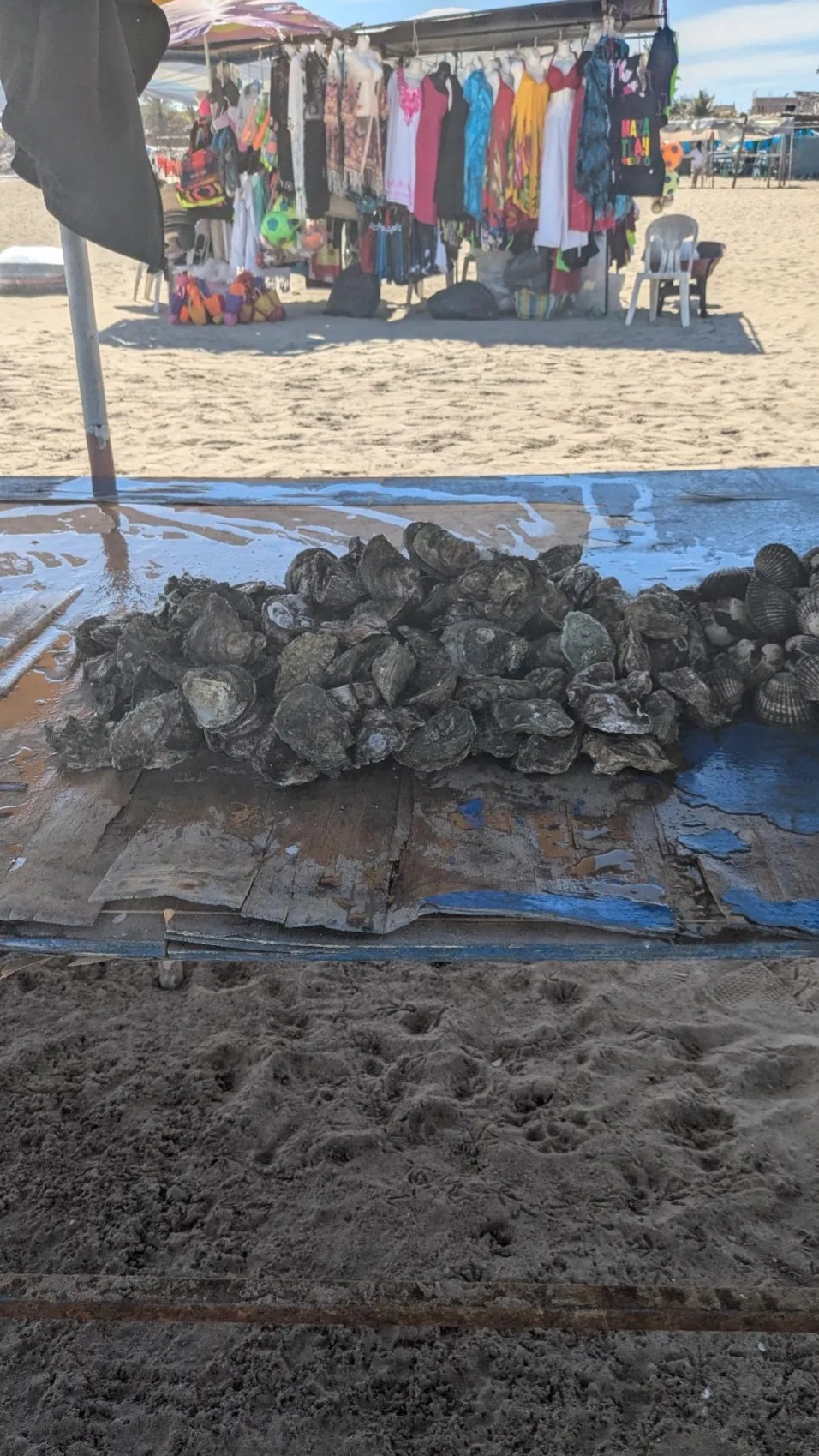 Fresh oysters on the beach at Stone Island, Mazatlan, Mexico (apparently they don't use ice)